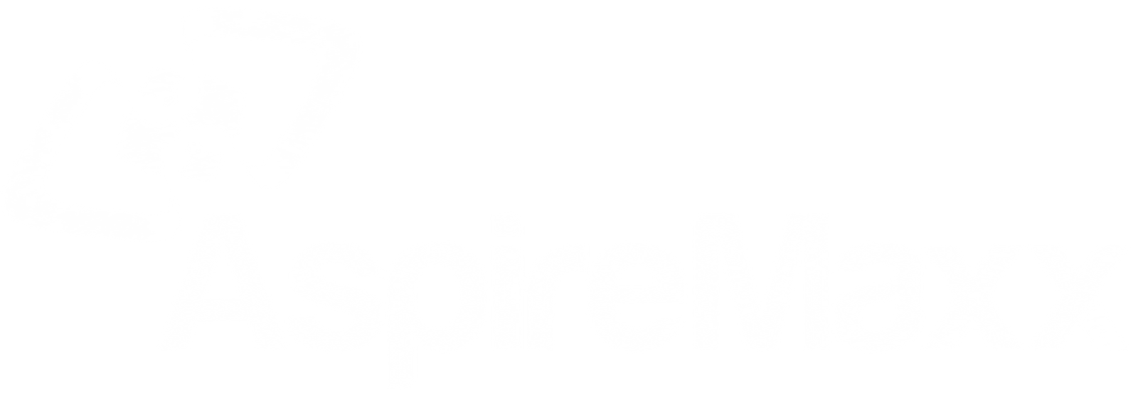 AspireMaxx